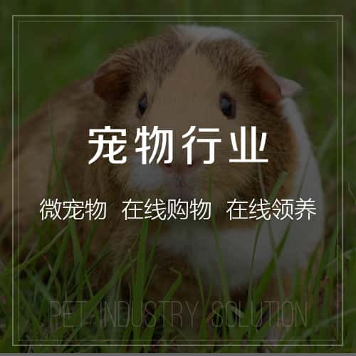 玉溪宠物