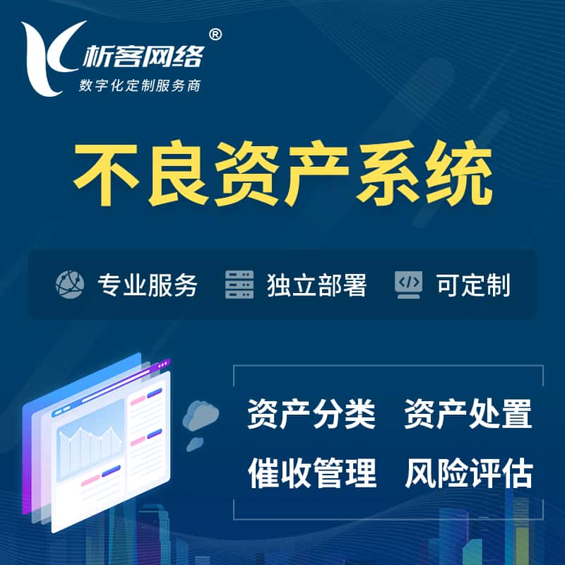 玉溪不良资产管理系统